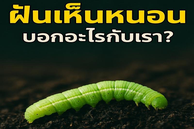ฝันเห็นหนอน