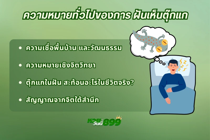 ฝันเห็นตุ๊กแก