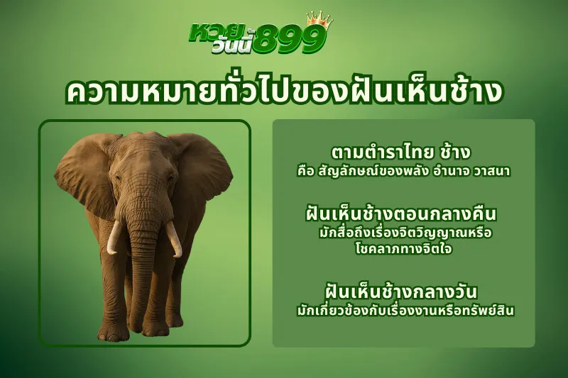 ฝันเห็นช้าง