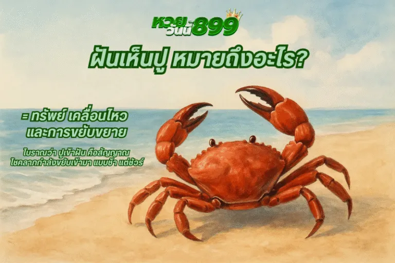 ฝันเห็นปู หมายถึงอะไร?