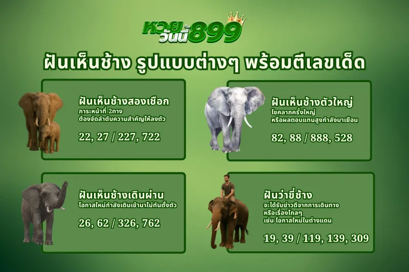 ฝันเห็นช้าง