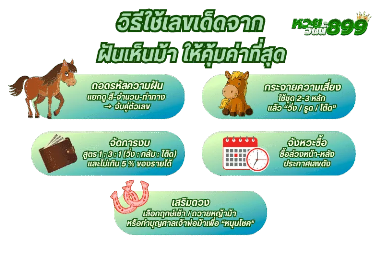 วิธีใช้เลขเด็ดจาก ฝันเห็นม้า ให้คุ้มค่าที่สุด