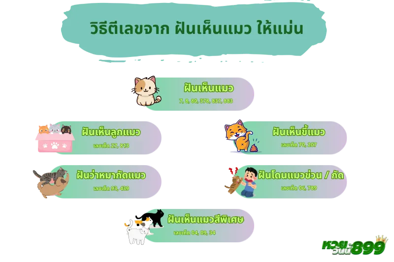 ฝันเห็นแมว 