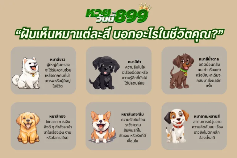 ฝันเห็นหมา แต่ละสี หมายถึงอะไร?