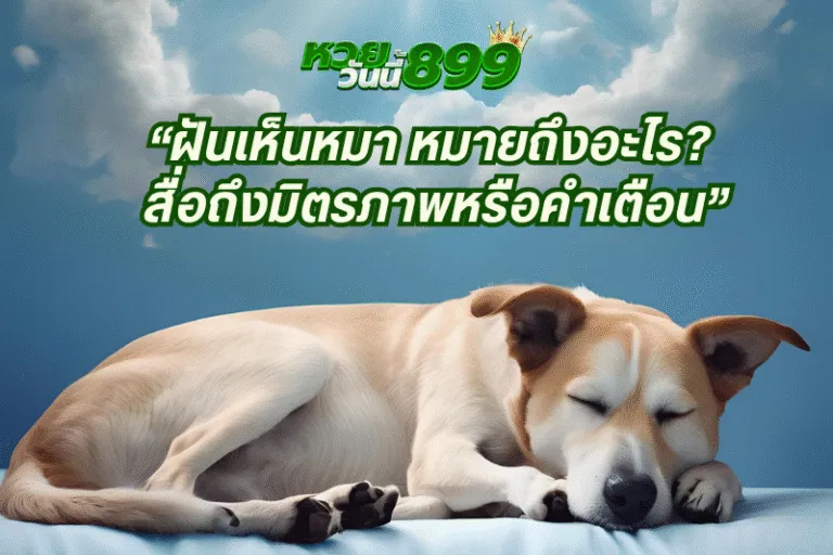 ฝันเห็นหมา หมายถึงอะไร? สื่อถึงมิตรภาพหรือคำเตือน