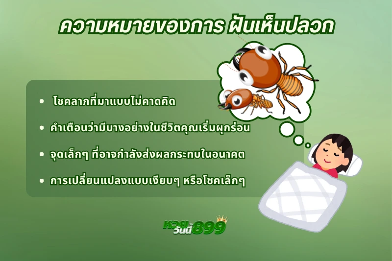 ฝันเห็นปลวก