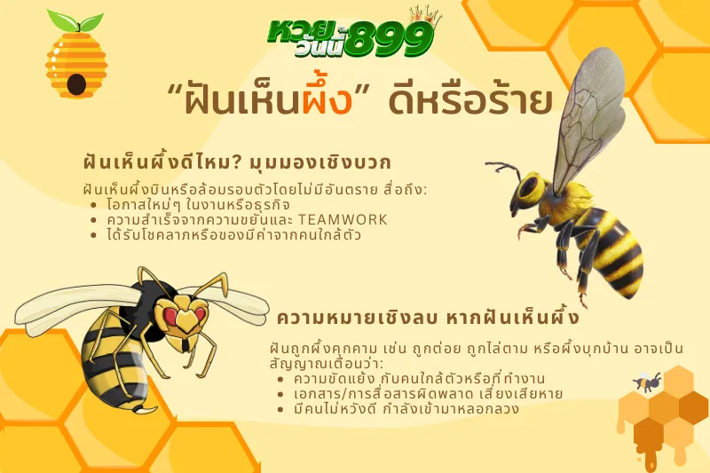 ฝันเห็นผึ้ง
