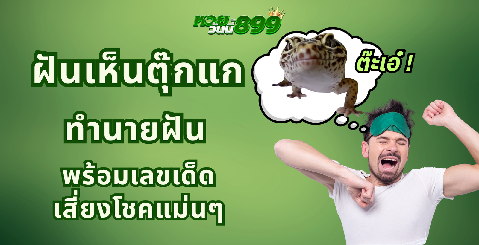 ฝันเห็นตุ๊กแก