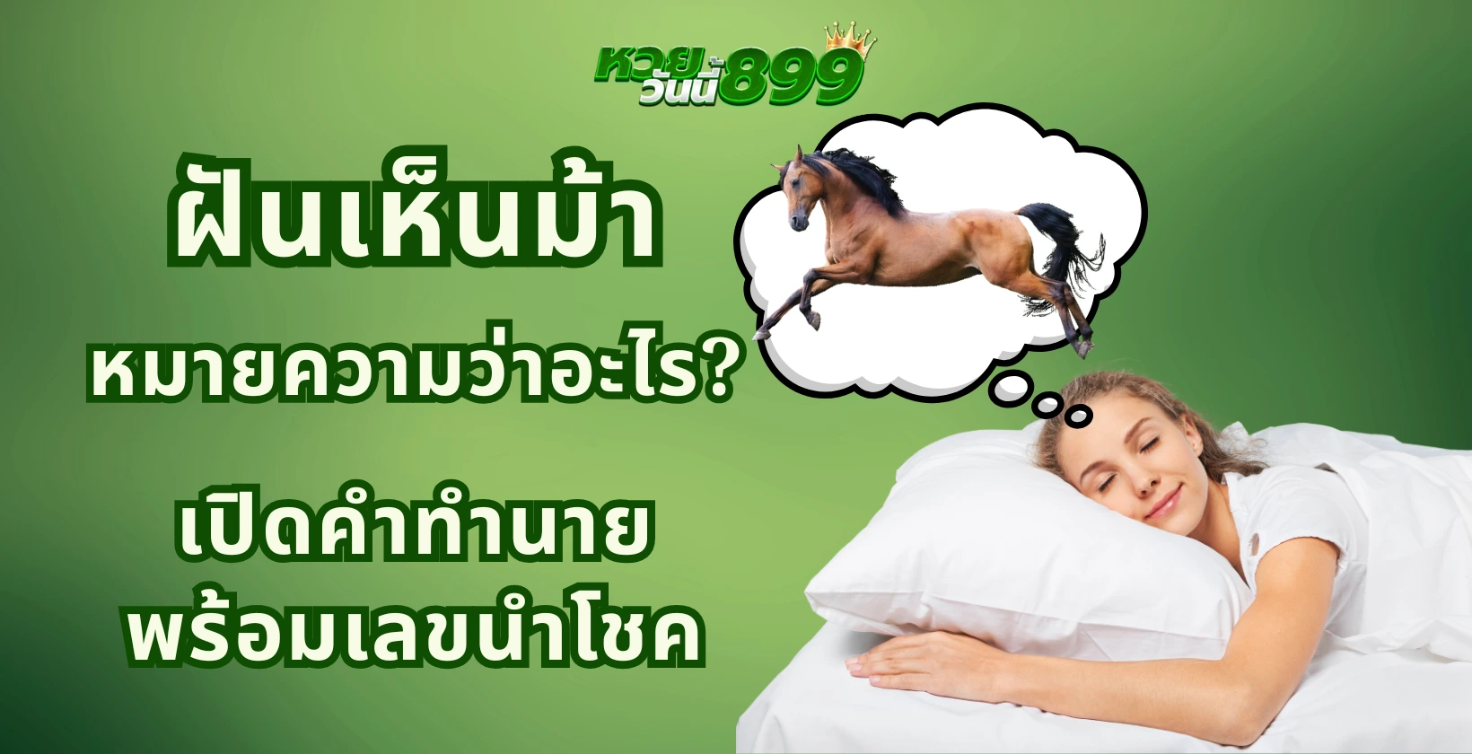 ฝันเห็นม้า หมายความว่าอะไร? เปิดคำทำนายพร้อมเลขนำโชค