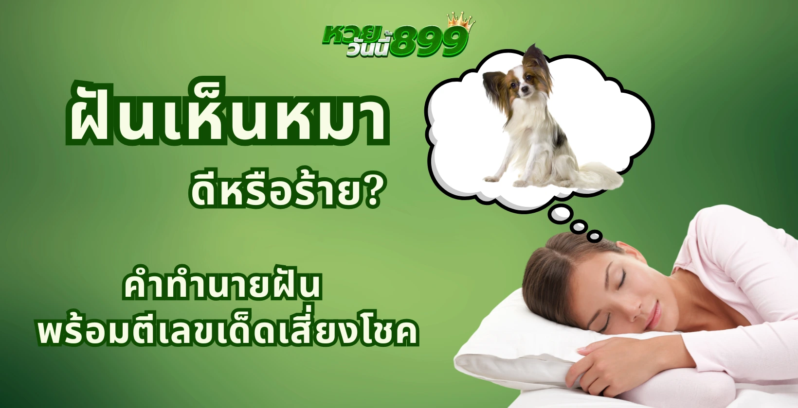 ฝันเห็นหมา ดีหรือร้าย? คำทำนายฝัน พร้อมตีเลขเด็ดเสี่ยงโชค
