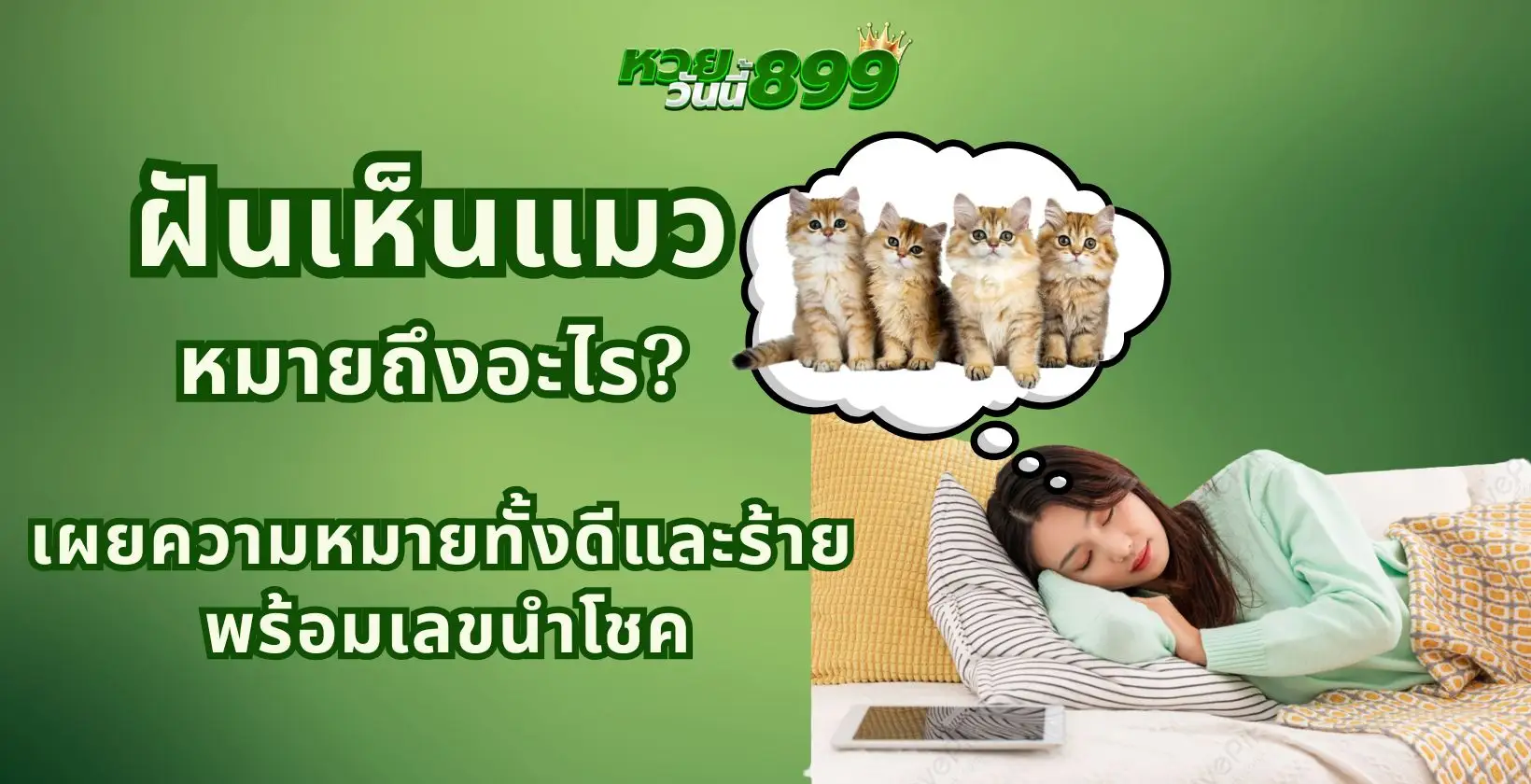 ฝันเห็นแมว